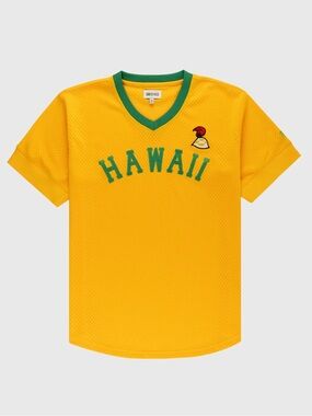 Hawaii islanders PCL mesh-v neck jersey size large